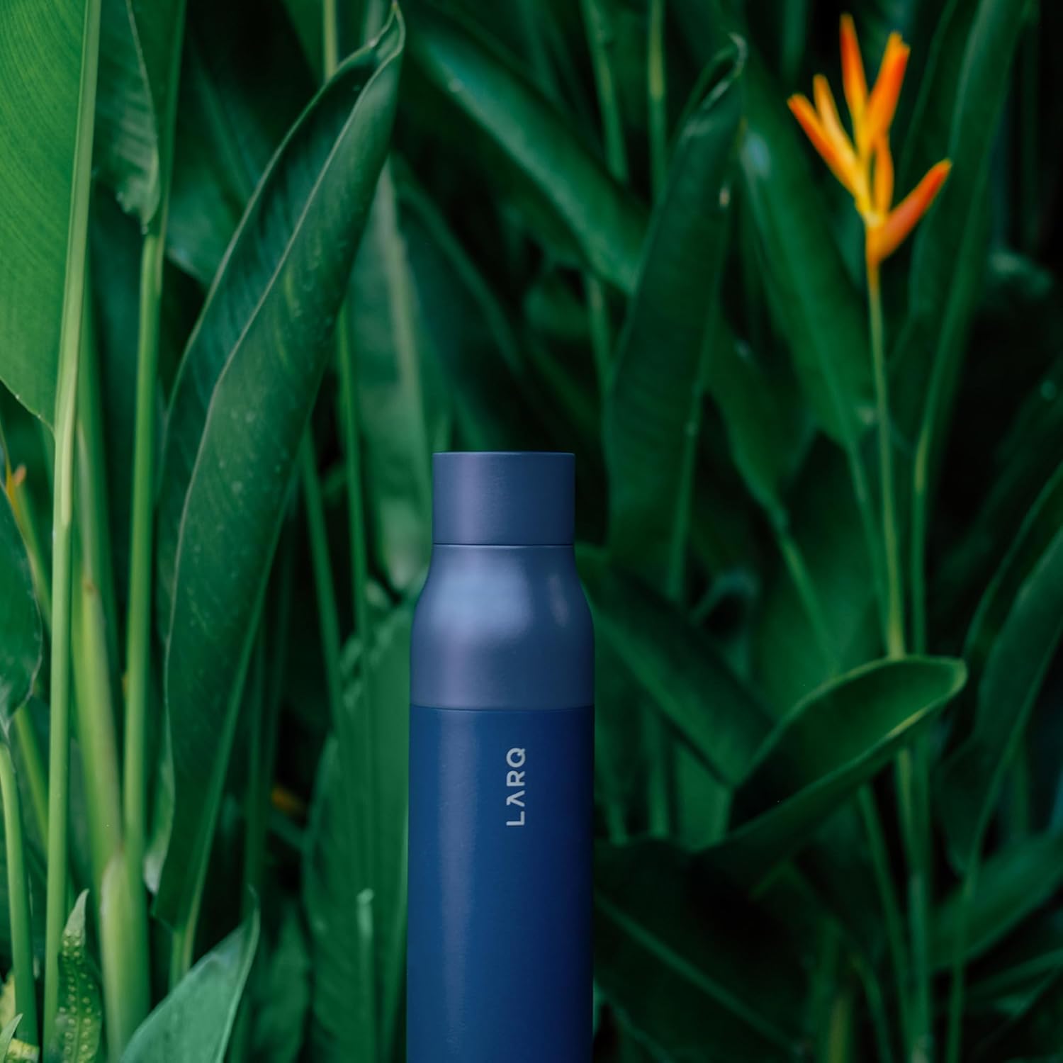 LARQ Bottle PureVis 25 oz - Self-Cleaning and Insulated Stainless Steel Water Bottle with UV Water Purifier and Award-winning Design | Reusable & Travel Friendly, Monaco Blue